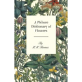 A Picture Dictionary of Flowers