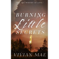 Burning Little Secrets: Special Edition Anniversary Cover