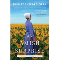 An Amish Surprise