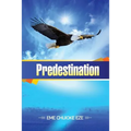 Predestination
