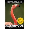 Flamingos: The Bright Pink Dancing Birds