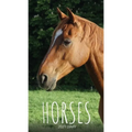 Horses 2021 Diary: Slim Pocket Calendar, Monthly Planner, Date Book, Organizer, Notepad