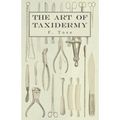 The Art of Taxidermy