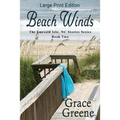 Beach Winds
