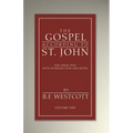 The Gospel According to St. John, Volume 1