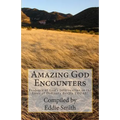 Amazing God Encounters: Amazing Stories of God's Intervention