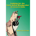 Looking for the Ivory-billed-Woodpecker in eastern Cuba