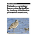 Status Assessment and Conservation Action Plan for the Long-billed Curlew (Numenius americanus)