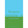 Perception: A Representative Theory