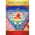 Tranquillity Leading to Insight: Exploration of Buddhist Meditation Practices