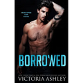 Borrowed: A Fake Relationship Rock Star Romance