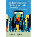 Indigenous Civil Society in Latin America: Collective Action in the Digital Age