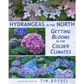 Hydrangeas in the North: Getting Blooms in the Colder Climates
