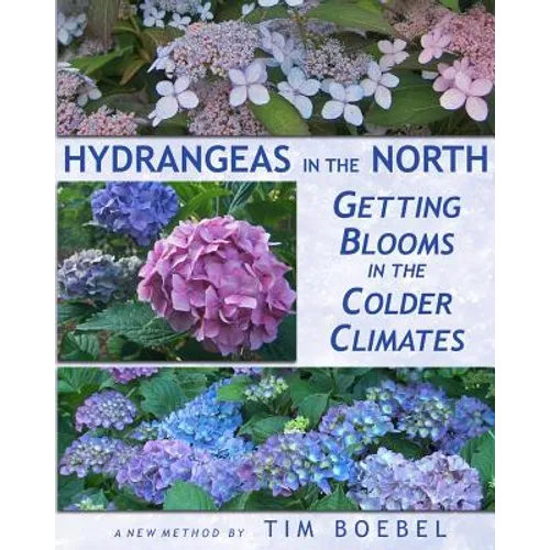 Hydrangeas in the North: Getting Blooms in the Colder Climates