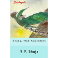 SciAngels: Crazy, Mad Adventure