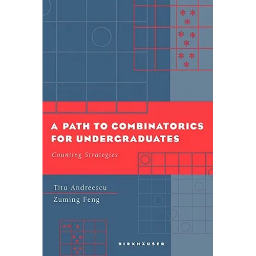 A Path to Combinatorics for Undergraduates: Counting Strategies