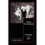 Dingo Devotionals: Learning to Heel
