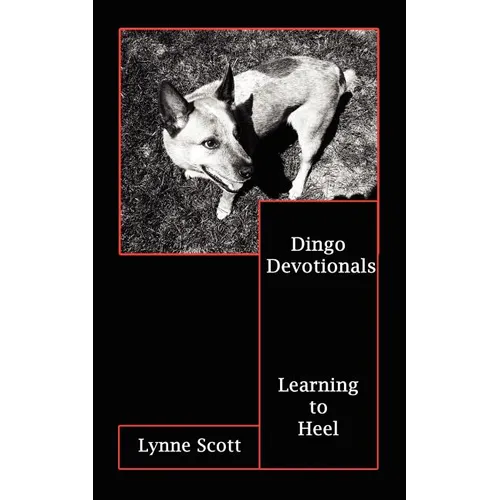 Dingo Devotionals: Learning to Heel - Paperback