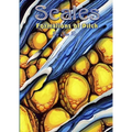 SCALES - Formations of Pitch