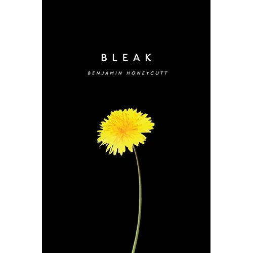 Bleak: A Story of Bullying, Rage and Survival