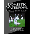Domestic Waterfowl: How To Raise Ducks, Geese and Swans