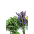 Alternative Medicines
