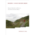 Where I Have Never Been: Migration, Melancholia, and Memory in Asian American Narratives of Return