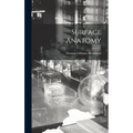 Surface Anatomy