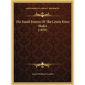 The Fossil Insects Of The Green River Shales (1878)