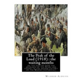The Peak of the Load (1918) by Mildred Aldrich (historical): the waiting months: on the hilltop from the entrance of the Stars and stripes to the seco