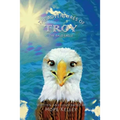 The Adventures of Troy the Bald Eagle