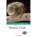 Hermit Crab: Your Happy Healthy Pet