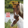 Identifying Chincoteague Ponies 2022