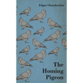 The Homing Pigeon