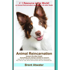 Animal Reincarnation: Everything You Always Wanted to Know! about Pet Reincarnation plus "how to" techniques to see, feel & communicate with - Paperback
