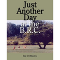 Just Another Day at the B.R.C.