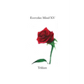 Everyday Mind XV