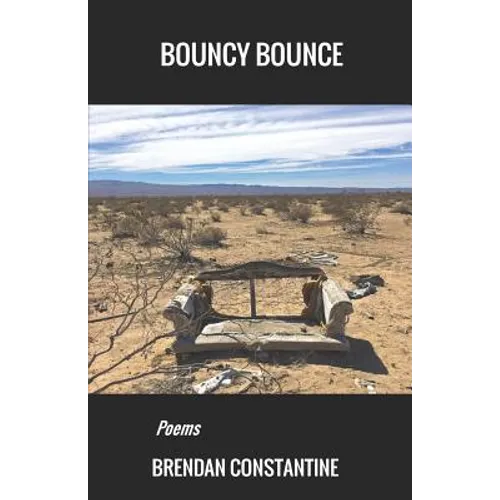 Bouncy Bounce