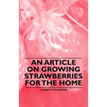 An Article on Growing Strawberries for the Home