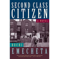 Second Class Citizen