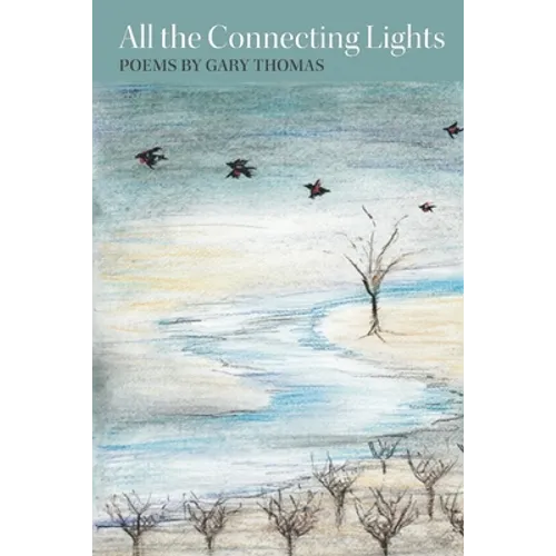 All the Connecting Lights