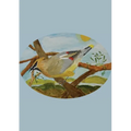 The Stone Soup Sketchbook (small): Sierra Glassman - Cedar Waxwing - unlined