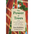 The Power of Trees: How Ancient Forests Can Save Us If We Let Them