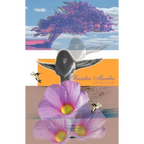 Senseless Murder - Paperback
