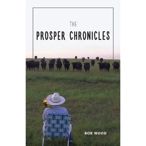 The Prosper Chronicles