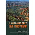 If You Could Only See This View