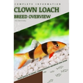 Clown Loach: From Novice to Expert. Comprehensive Aquarium Fish Guide