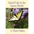 Social Life in the Insect World: Observations on Behavior and Organization in the Insect World