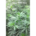 Visual Grow Diary