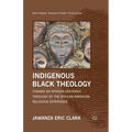 Indigenous Black Theology: Toward an African-Centered Theology of the African American Religious Experience